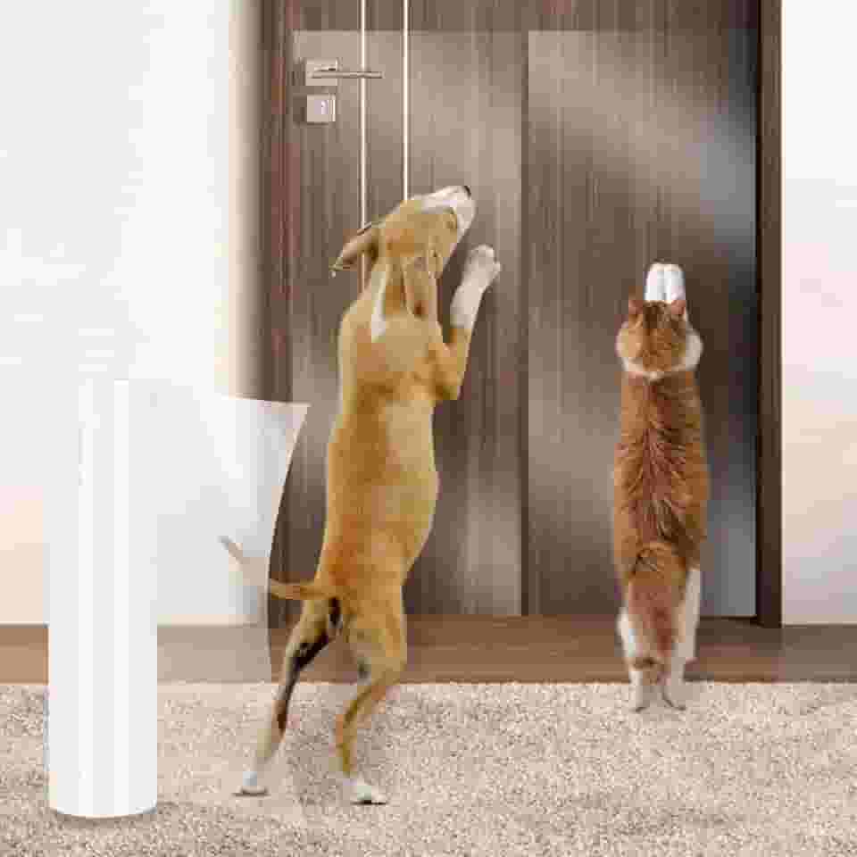 BNOSDM Protetor de porta contra arranhões de cães, protetor transparente contra arranhões, capa de proteção de porta resistente para garras de cães e gatos, 40 x 300