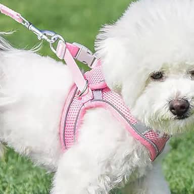 Conjunto de coleira e coleira para cães, sem puxão, de malha macia, colete refletivo ajustável para cachorros/gatos