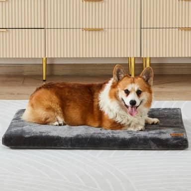 Almofada de espuma viscoelástica para cães, médio, 76 cm, cinza - tapete ortopédico para animais de estimação com forro à prova d'água, capa lavável removível, para cães e gatos