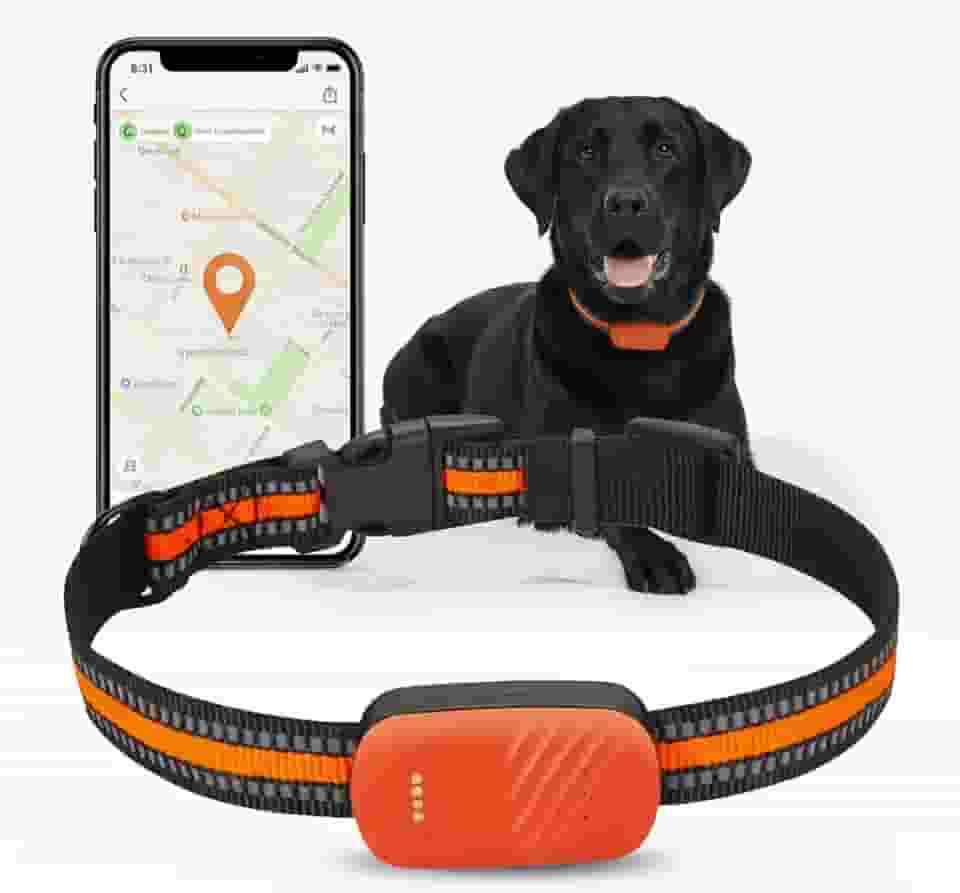 Rastreador GPS inteligente para cães 4G LTE, rastreador de animais de estimação ao vivo com sistema de coleira de cerca virtual, IP67 à prova d'água, bateria de longa duração, controle de aplicativo