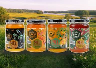 Kit Completo 4 Méis DonaBeia 450g – Silvestre, Eucalipto, Cipó-Uva e Laranjeira | 100% Puro, Natural e Artesanal