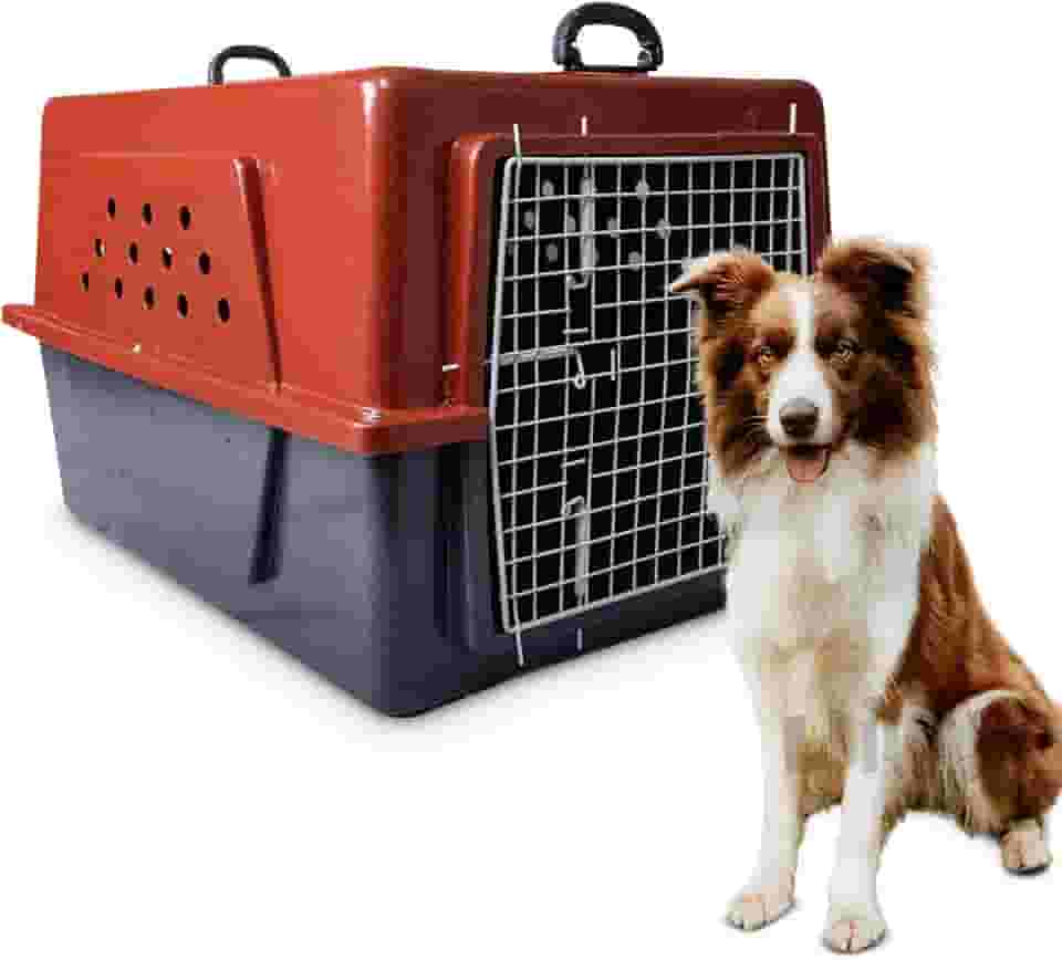 Caixa de Transporte para Cães e Gatos Nº05 Rafapet – Grande Porte, Resistente, com Trava de Segurança e Ventilação – Ideal para Viagens, Carros e Clínicas Veterinárias (Vermelho)