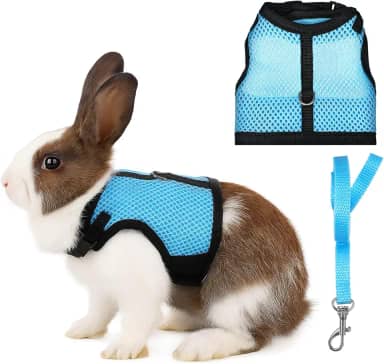 Conjunto de arnês e coleira de coelho, colete de coelho de malha respirável ajustável com fivelas duplas, treinamento de caminhada à prova de fuga para gatinhos, coelhos, furões, porquinhos-da-índia