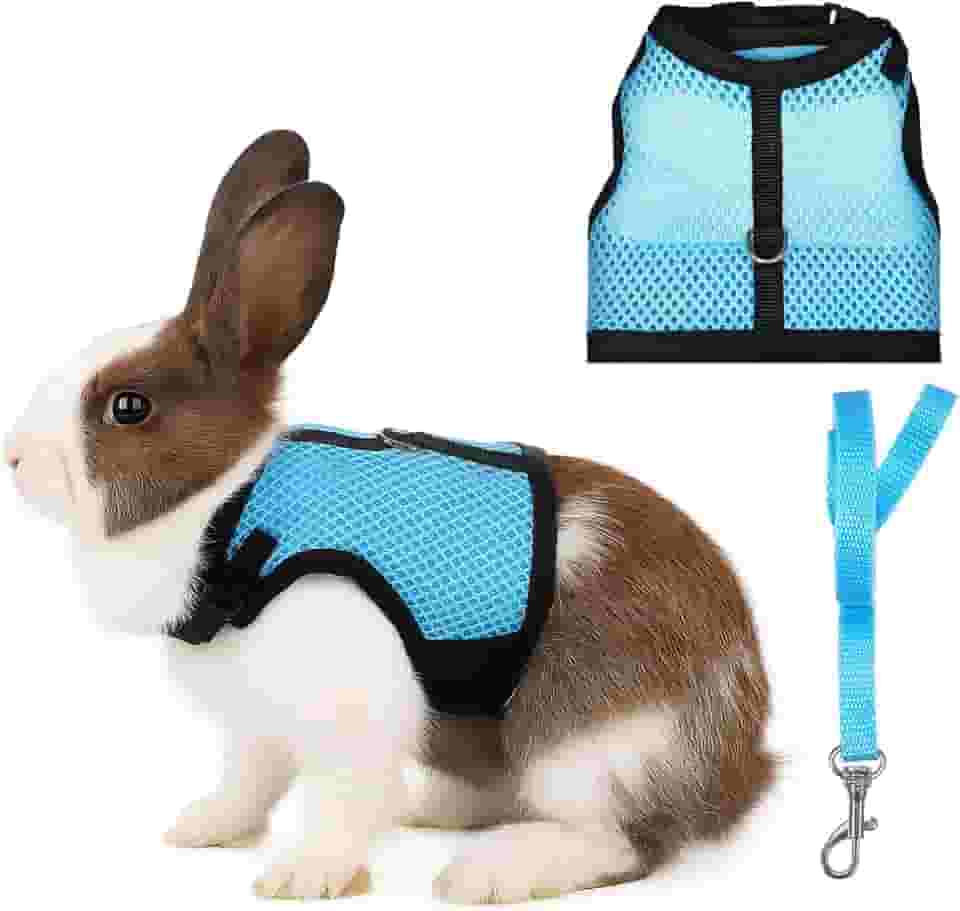 Conjunto de arnês e coleira de coelho, colete de coelho de malha respirável ajustável com fivelas duplas, treinamento de caminhada à prova de fuga para gatinhos, coelhos, furões, porquinhos-da-índia