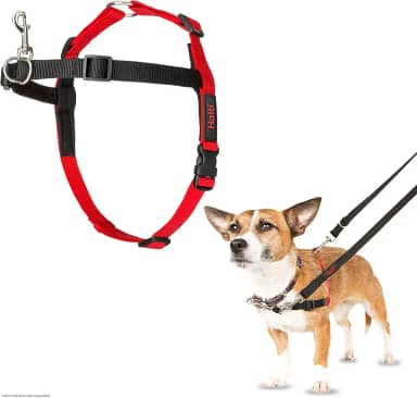 Peitoral de controle frontal HALTI - para impedir que seu cão puxe a coleira. Ajustável, leve e fácil de usar. Arnês de treinamento para cães pequenos (tamanho P)