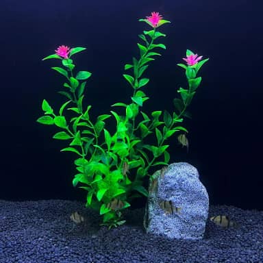 Planta Artificial Aquario Enfeite e Decoração 20cm S854