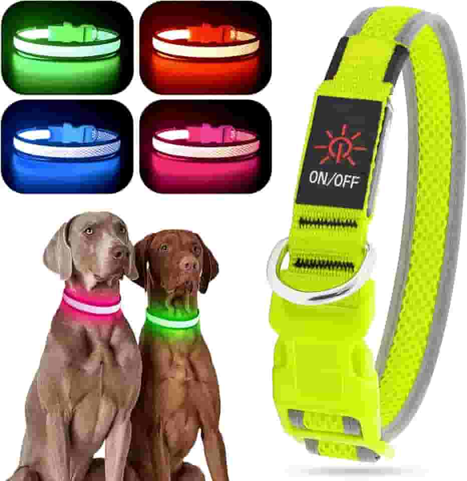 YFbrite Coleira de cachorro iluminada, coleira de cachorro de LED recarregável, coleira piscante, coleira refletiva ajustável para cães com segurança brilhante à noite (verde, pequena)