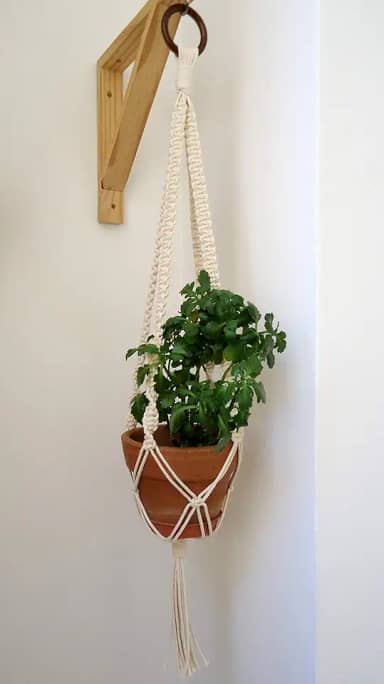 Suporte De Vaso - Macramê - Cru - Plant Hanger - Suporte Plantas