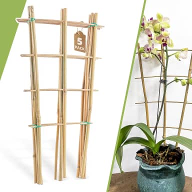 Pacote com 5 Treliças de Bambu de 16' para Plantas Trepadeiras - Treliça de Escada de Jardim Natural, Treliça de Suporte Em Forma de Leque para Decoração de Plantas Em Vasos Na Porta