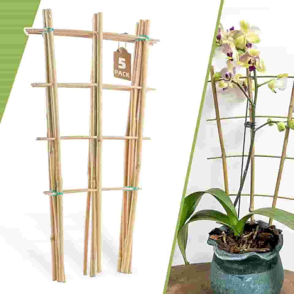 Pacote com 5 Treliças de Bambu de 16' para Plantas Trepadeiras - Treliça de Escada de Jardim Natural, Treliça de Suporte Em Forma de Leque para Decoração de Plantas Em Vasos Na Porta