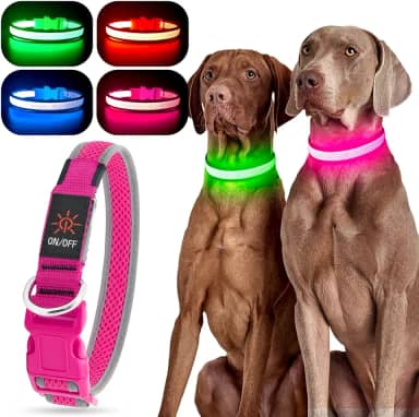 YFbrite Coleira de cachorro iluminada, coleira de LED recarregável, coleira de cachorro à prova d'água, coleira refletiva ajustável piscante para cães que brilha à noite (rosa, média)