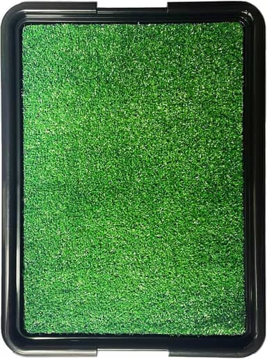 Brinqpet Sanitário Canino Banheiro Para Cães Com Grama Eco Pet, Dispensa Tapetes Descartáveis, Perfeito para Casas e Apartamentos, Fácil Limpeza, Verde