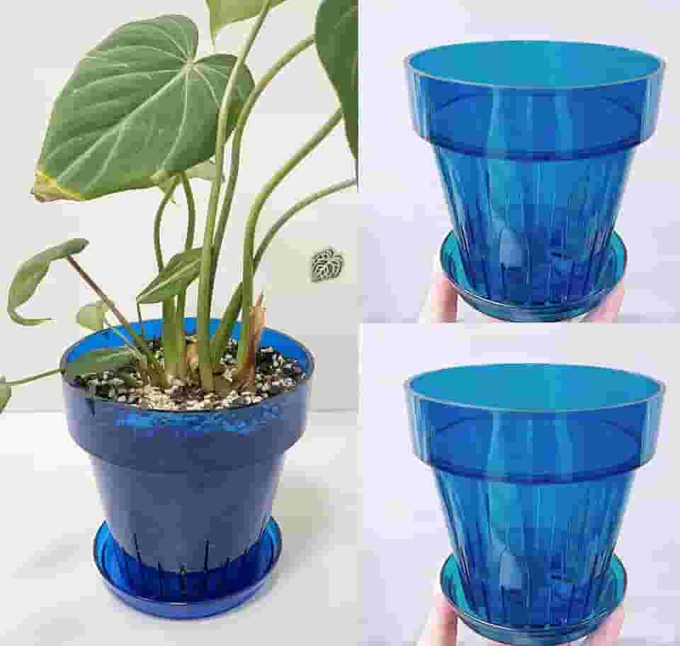 RISEON Pacote com 3 potes de orquídea de plástico acrílico transparente com furos e pires, vaso de acrílico grosso, orquídea Dendrobium Oncidium Cattleya para repotting para ambientes internos e
