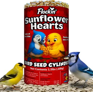 100% corações de girassol para pássaros – Cilindros de semente de pássaro premium com furo – semente de pássaro de girassol descascado – Atrai cardeais, gaios azuis, pintassilgos e chickadee – sem