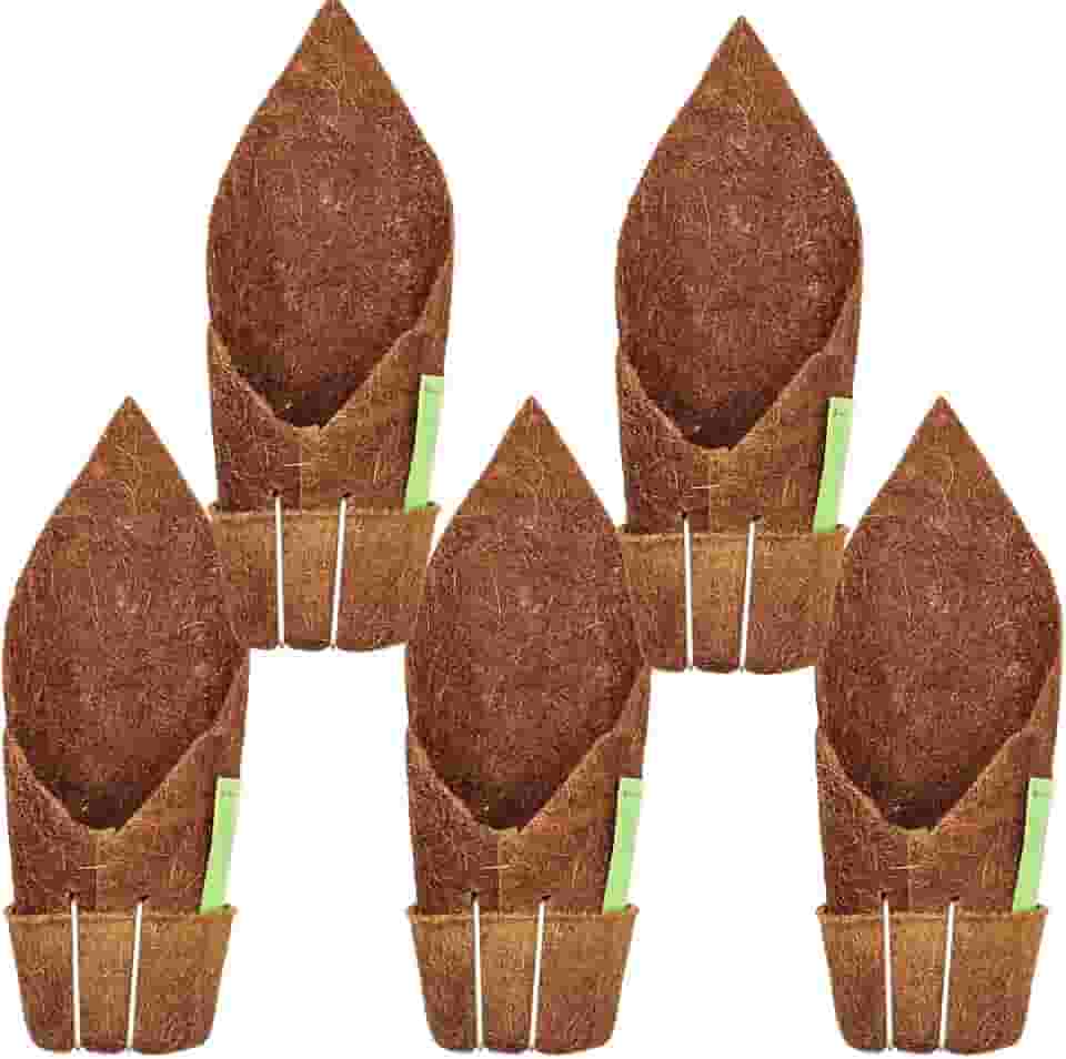 Kit 5 Vaso Suspenso Fibra de Coco Kopin Coquim com Suporte Para Pendurar Orquídeas, Samambaias, Bromélias e Outras Plantas