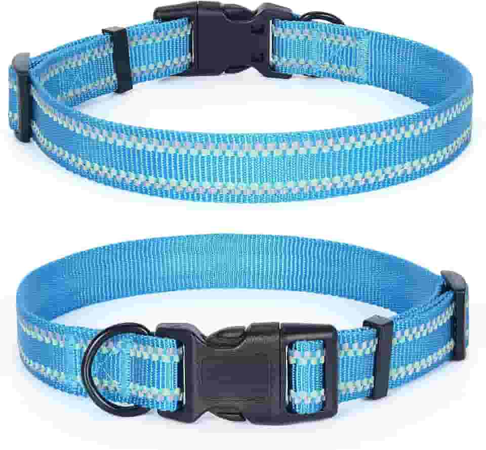 Mile High Life Coleira de nylon com luz noturna brilhante, coleira refletiva para cães, autoluminescente fluorescente para cães pequenos, médios e grandes (azul quente, gola G 15-19)