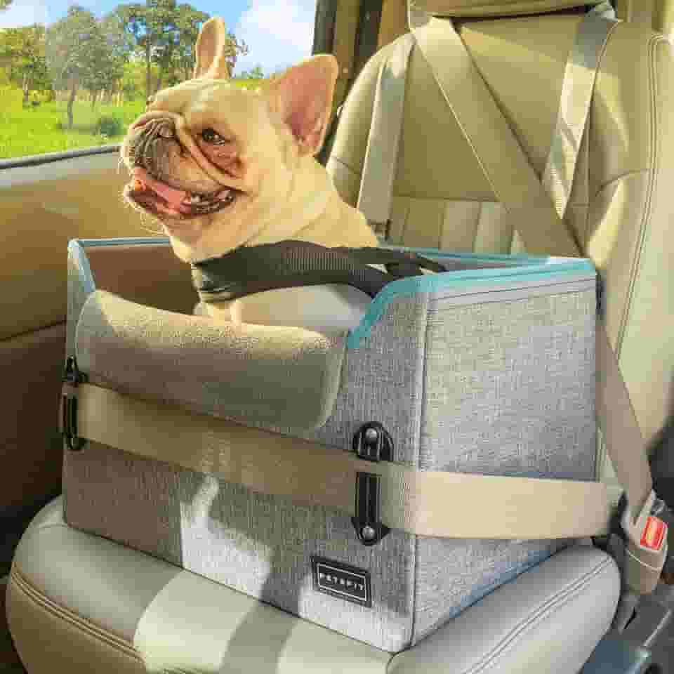 Petsfit Assento de Carro para Cachorro Pequeno, Assento de Reforço Portátil para Cachorro para Carro com Trela de Encaixe, Alças Ajustáveis Perfeitas para Animais de Estimação Pequenos de Até 25 Libra